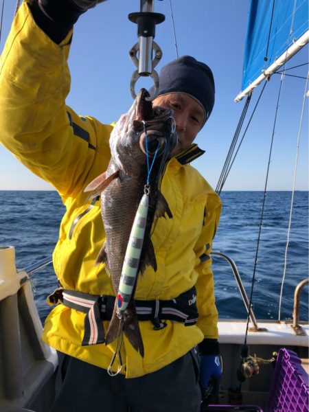 ＴＡＲＯＭＡＲＵ 釣果