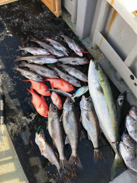 ＴＡＲＯＭＡＲＵ 釣果