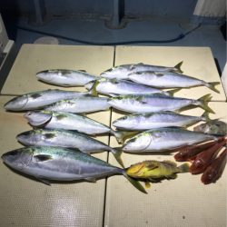 Monster Rush! 釣果