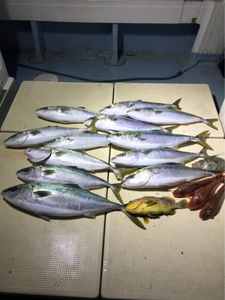 Monster Rush! 釣果