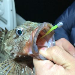 Monster Rush! 釣果