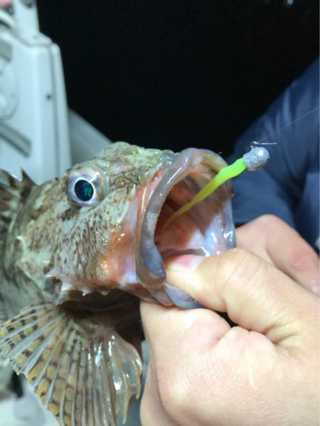 Monster Rush! 釣果