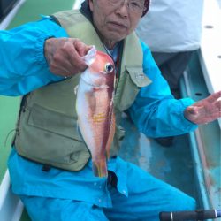 丸万釣船 釣果