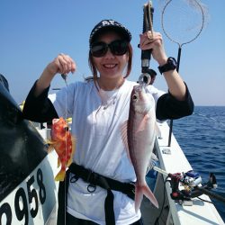 エンペラー 釣果