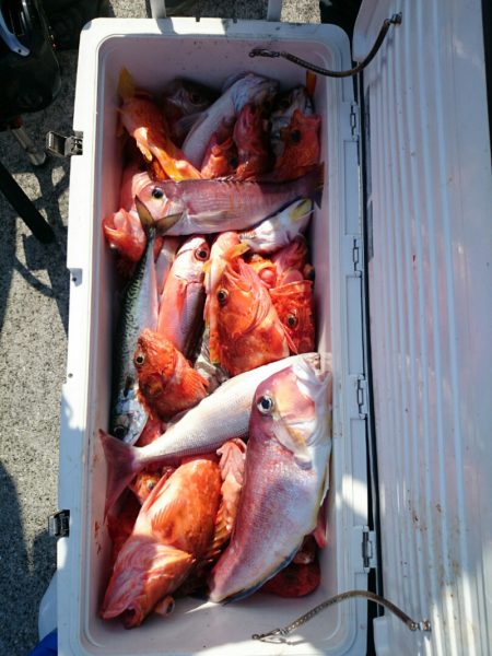 エンペラー 釣果