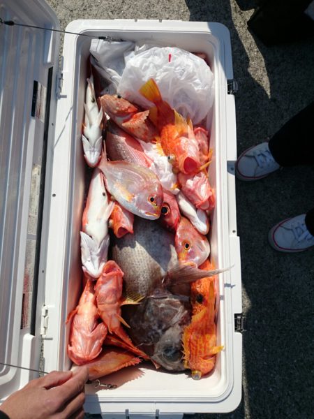 エンペラー 釣果