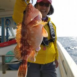 ソルトウォーターガイドフレンズ 釣果