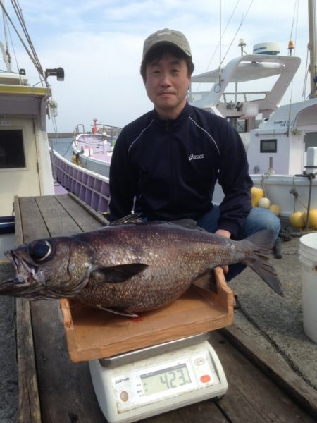 晃山丸 釣果