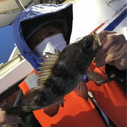 ヤザワ渡船 釣果