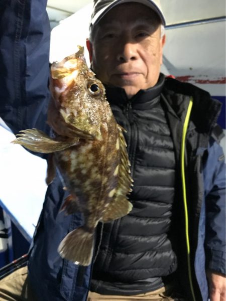 ヤザワ渡船 釣果