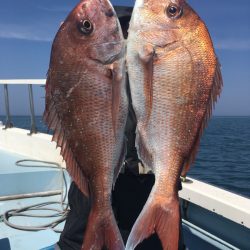 第二八坂丸 釣果