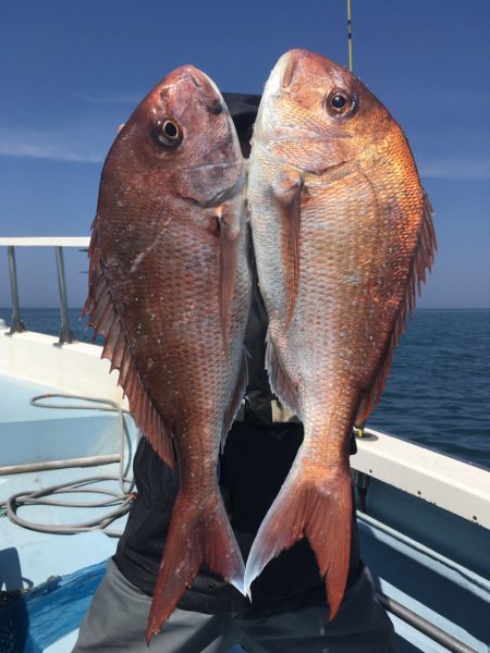 第二八坂丸 釣果