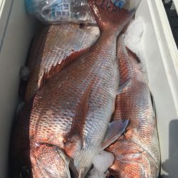 第二八坂丸 釣果