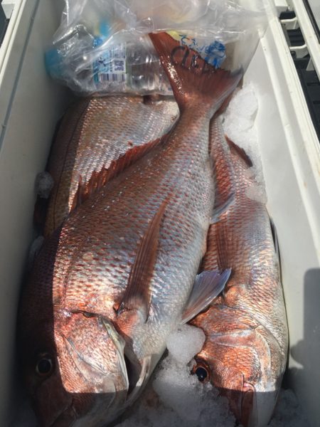 第二八坂丸 釣果