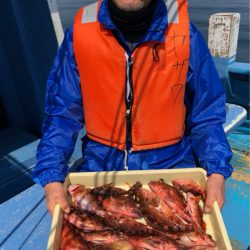 ヤザワ渡船 釣果