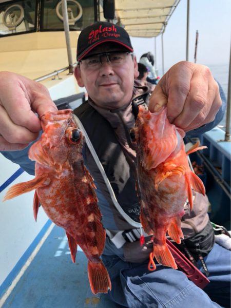 ヤザワ渡船 釣果