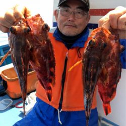 ヤザワ渡船 釣果