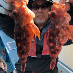 ヤザワ渡船 釣果