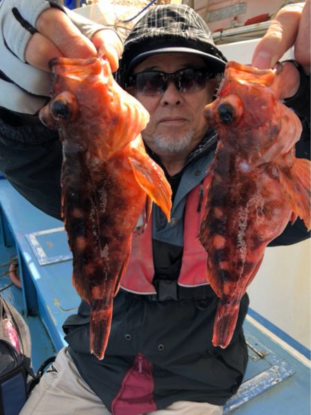 ヤザワ渡船 釣果