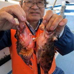 ヤザワ渡船 釣果