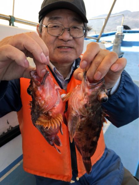 ヤザワ渡船 釣果