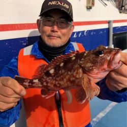 ヤザワ渡船 釣果
