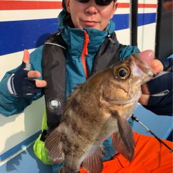 ヤザワ渡船 釣果