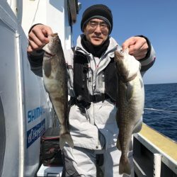 シーランチ 釣果