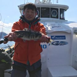 シーランチ 釣果