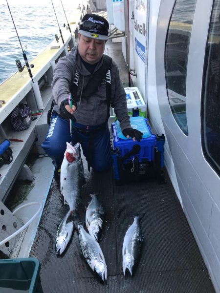 シーランチ 釣果