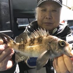 ヤザワ渡船 釣果