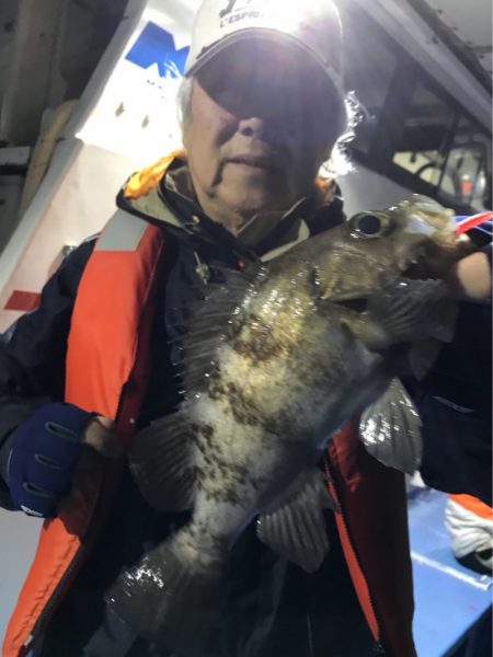 ヤザワ渡船 釣果