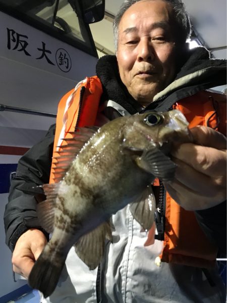 ヤザワ渡船 釣果