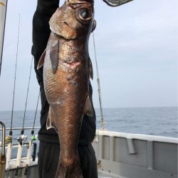 ＴＡＲＯＭＡＲＵ 釣果