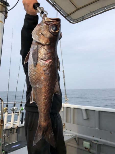 ＴＡＲＯＭＡＲＵ 釣果