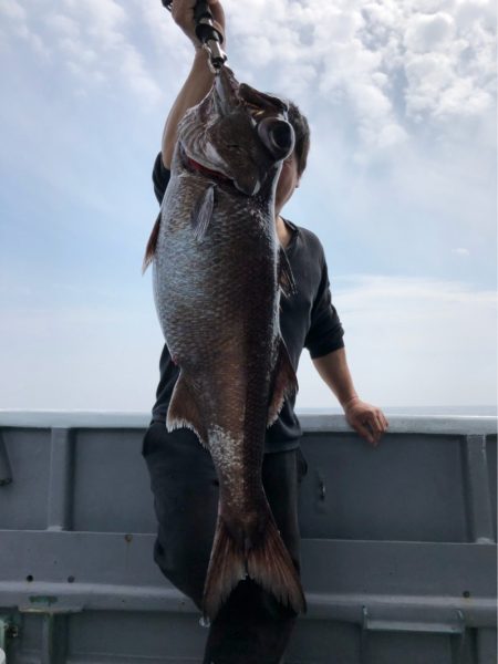 ＴＡＲＯＭＡＲＵ 釣果