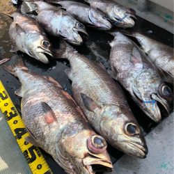 ＴＡＲＯＭＡＲＵ 釣果