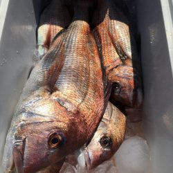 第二八坂丸 釣果