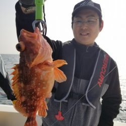 ソルトウォーターガイドフレンズ 釣果