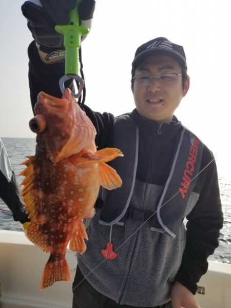 ソルトウォーターガイドフレンズ 釣果