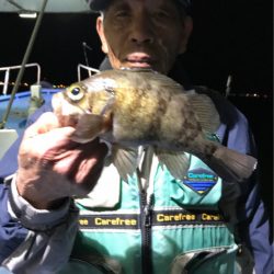 ヤザワ渡船 釣果