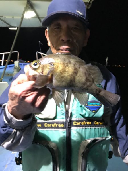 ヤザワ渡船 釣果