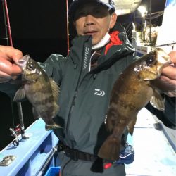 ヤザワ渡船 釣果