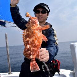 渡船屋たにぐち 釣果