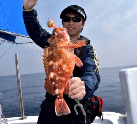 渡船屋たにぐち 釣果