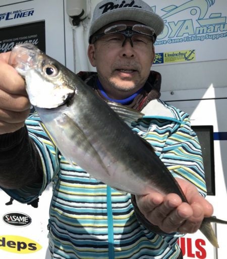 Soyamaru 釣果