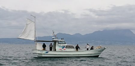 遊漁船 家入 釣果