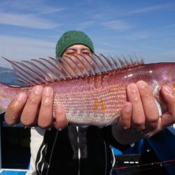 第三共栄丸 釣果