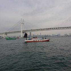 金沢八景鴨下丸 釣果