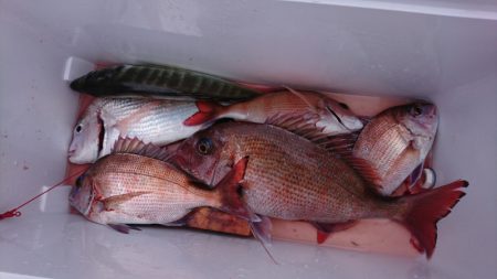 第三共栄丸 釣果